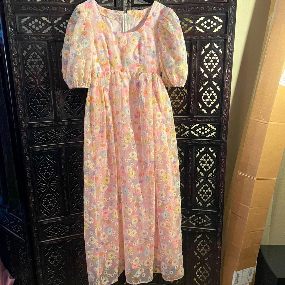 Vintage Daisy Embroidered Puff Dress